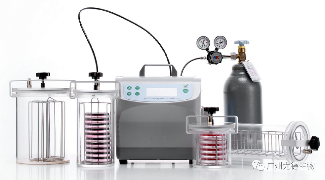 Multi-Purpose Microbial Incubator System