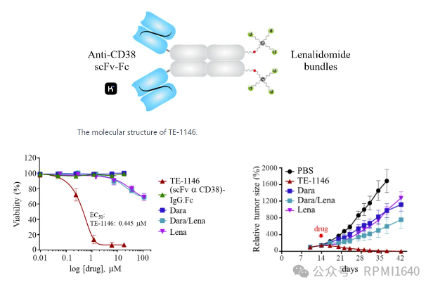 From ADC to DAC: Tackling the 'Undruggable' Lifeline? (Data Updated to AACR 2025)