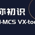 A Beginner's Guide to GTM-MCS VX-toolset