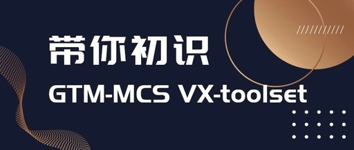 A Beginner's Guide to GTM-MCS VX-toolset