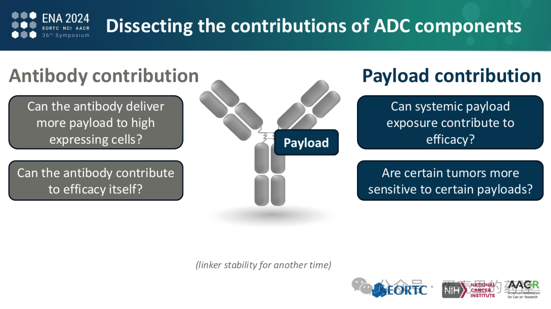 Beyond ADC Target Expression: Understanding ADC Characteristics and Pharmacology