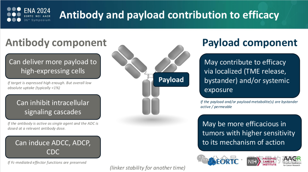 Beyond ADC Target Expression: Understanding ADC Characteristics and Pharmacology