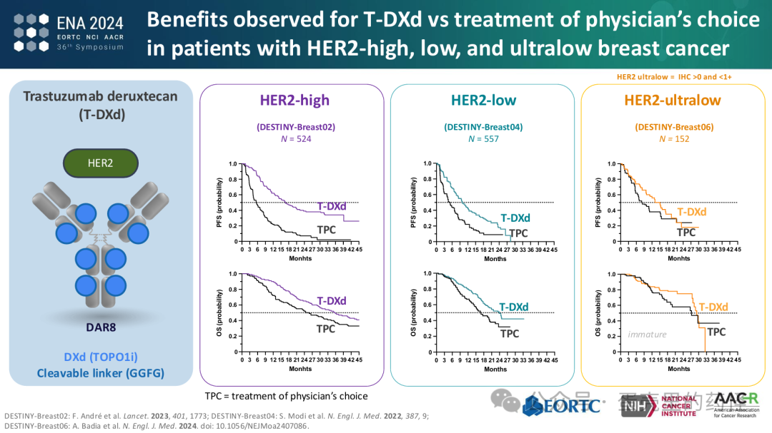 Beyond ADC Target Expression: Understanding ADC Characteristics and Pharmacology