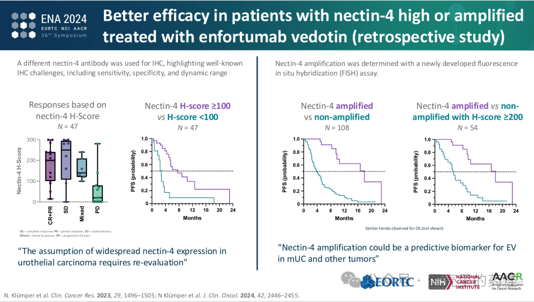 Beyond ADC Target Expression: Understanding ADC Characteristics and Pharmacology