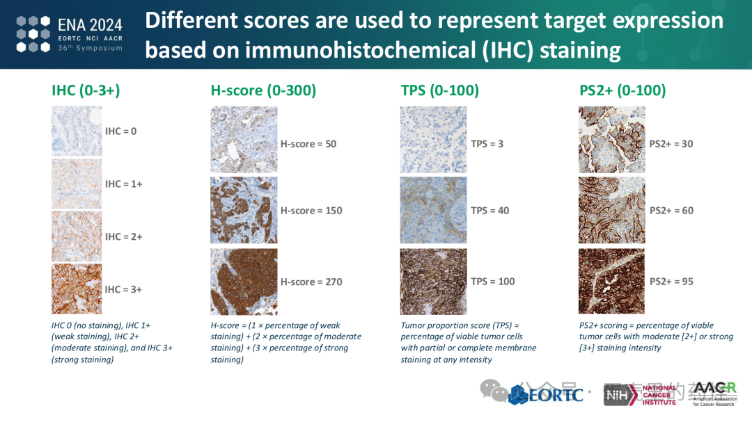 Beyond ADC Target Expression: Understanding ADC Characteristics and Pharmacology