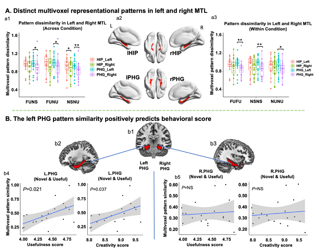 Cereb Cortex | Left Brain vs Right Brain: Mechanisms of Functional Lateralization in the Medial Temporal Lobe During Creative Evaluation
