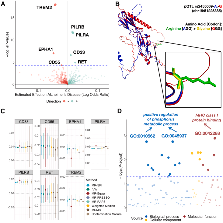 Breakthrough in Alzheimer's Disease Research! MR-SPI Crushes IVW with 'Voting Rules'