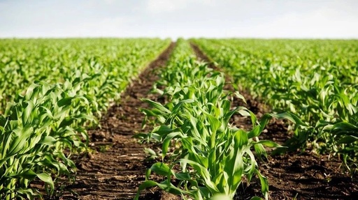 NB-IoT Applications: Making Agriculture Less Dependent on Weather