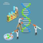 Clinical Research Confirms DS-8201 Effectively Treats Brain Metastases from Breast Cancer