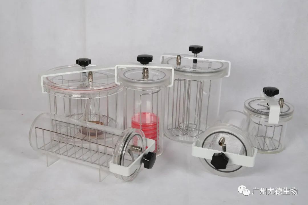 Multi-Purpose Microbial Incubator System