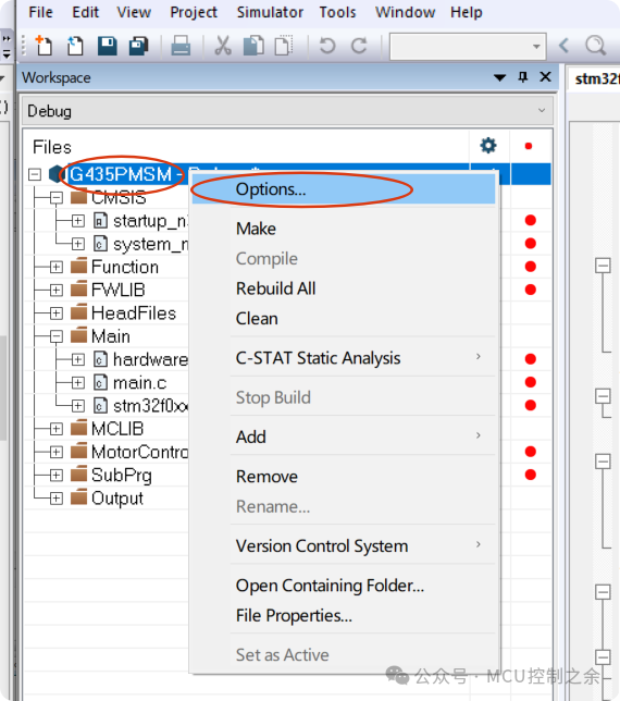Step-by-Step Guide to Developing ARM with IAR Using N32G435