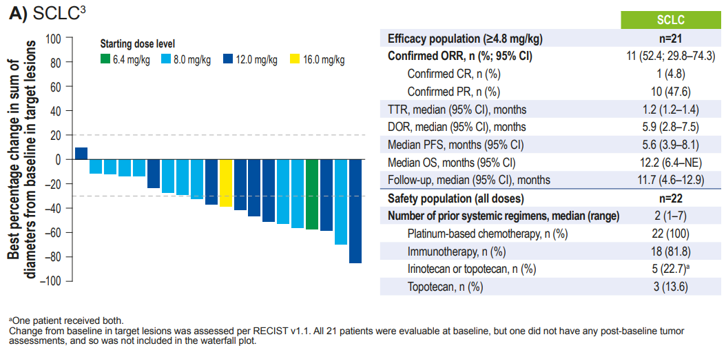 2023 ESMO: B7-H3 Targeted ADCs Show Exceptional Efficacy in SCLC and sqNSCLC