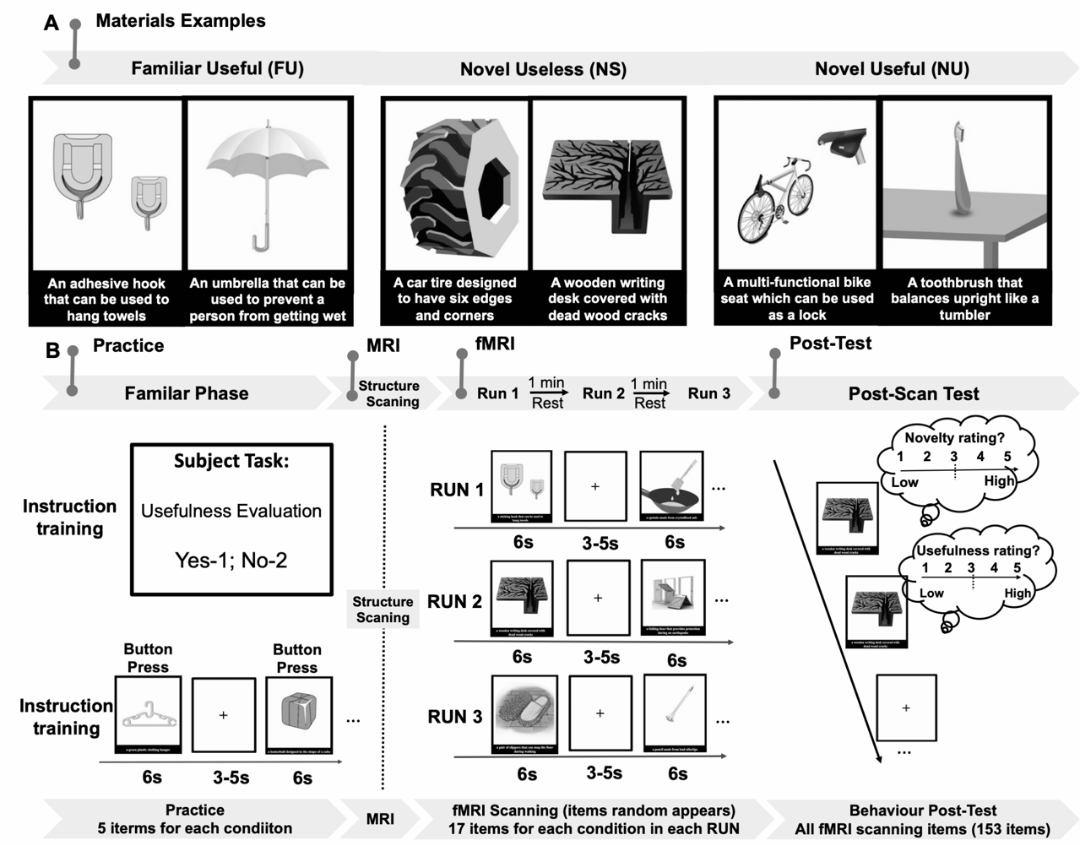 Cereb Cortex | Left Brain vs Right Brain: Mechanisms of Functional Lateralization in the Medial Temporal Lobe During Creative Evaluation