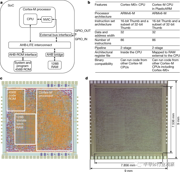 Arm Releases New Chip: Flexible PI Substrate at Only 10% Cost of Similar Products