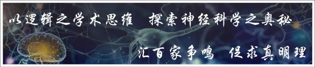A Comprehensive Review of Neuronal Circuit Architectures