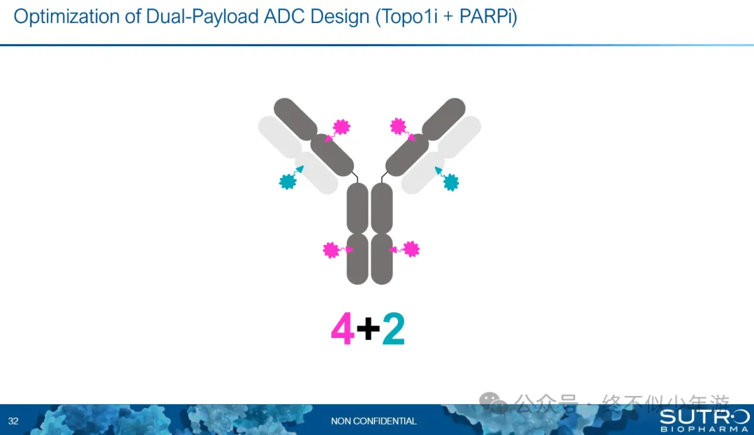 Summary of Dual Payload ADCs at AACR