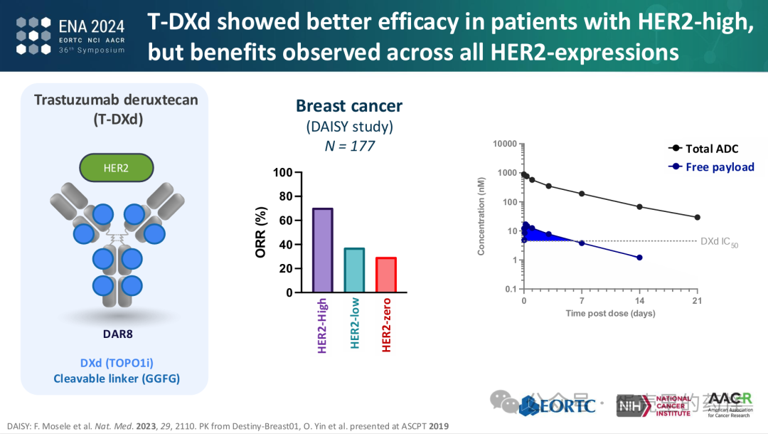 Beyond ADC Target Expression: Understanding ADC Characteristics and Pharmacology