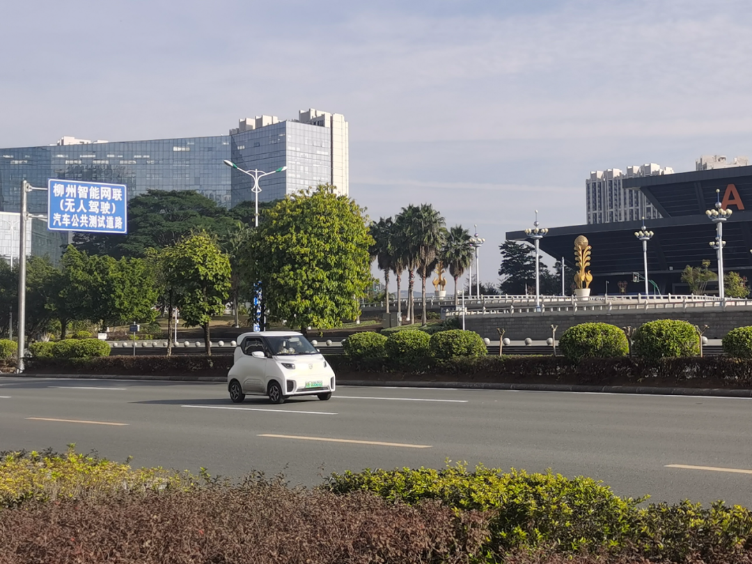 What is the "Network" of the Internet of Vehicles?