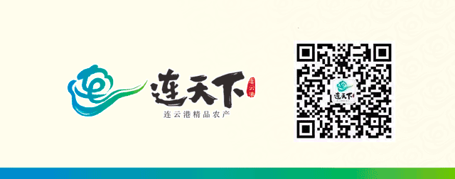 Implementation of New Drone Regulations in 2024: How to Operate Agricultural Drones Legally and Compliantly