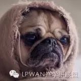 An Overview of LoRaWAN Roaming