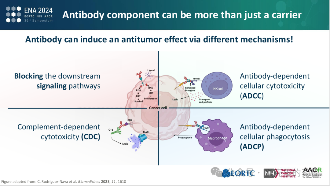 Beyond ADC Target Expression: Understanding ADC Characteristics and Pharmacology