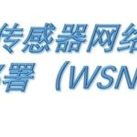 Application of Intelligent Optimization Algorithms: Deployment of Wireless Sensor Network Nodes (WSN)