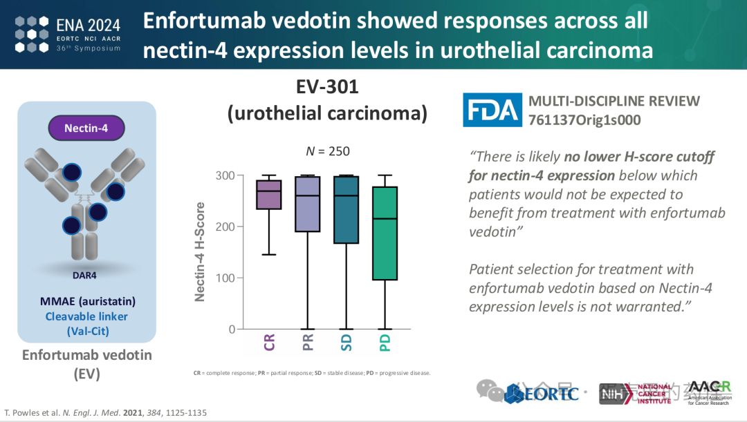 Beyond ADC Target Expression: Understanding ADC Characteristics and Pharmacology