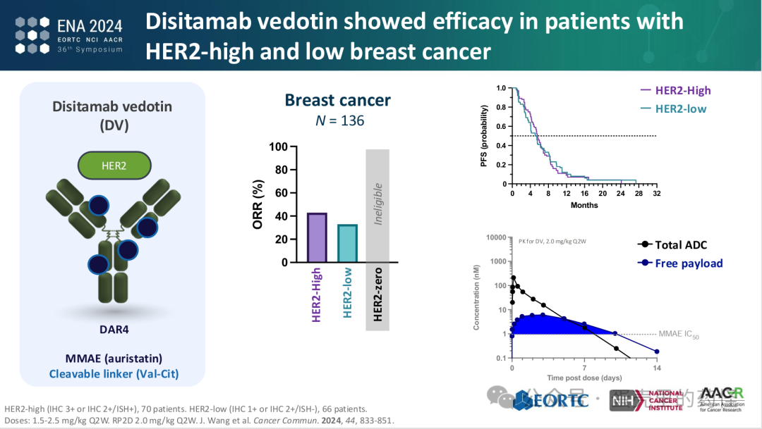 Beyond ADC Target Expression: Understanding ADC Characteristics and Pharmacology