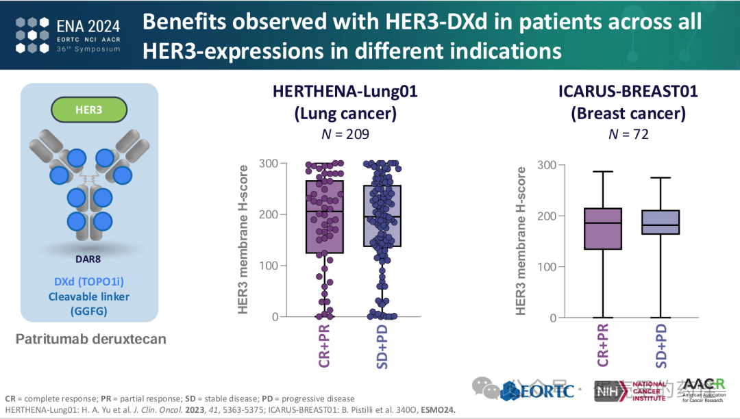 Beyond ADC Target Expression: Understanding ADC Characteristics and Pharmacology