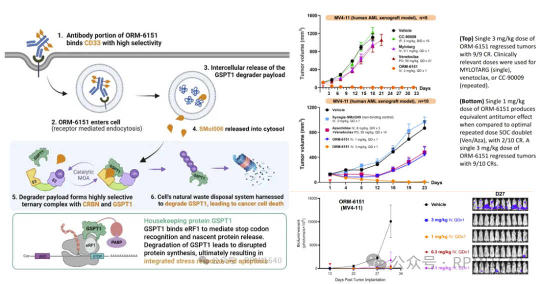 From ADC to DAC: Tackling the 'Undruggable' Lifeline? (Data Updated to AACR 2025)