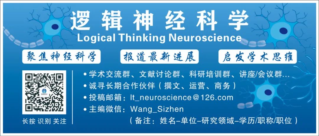 A Comprehensive Review of Neuronal Circuit Architectures