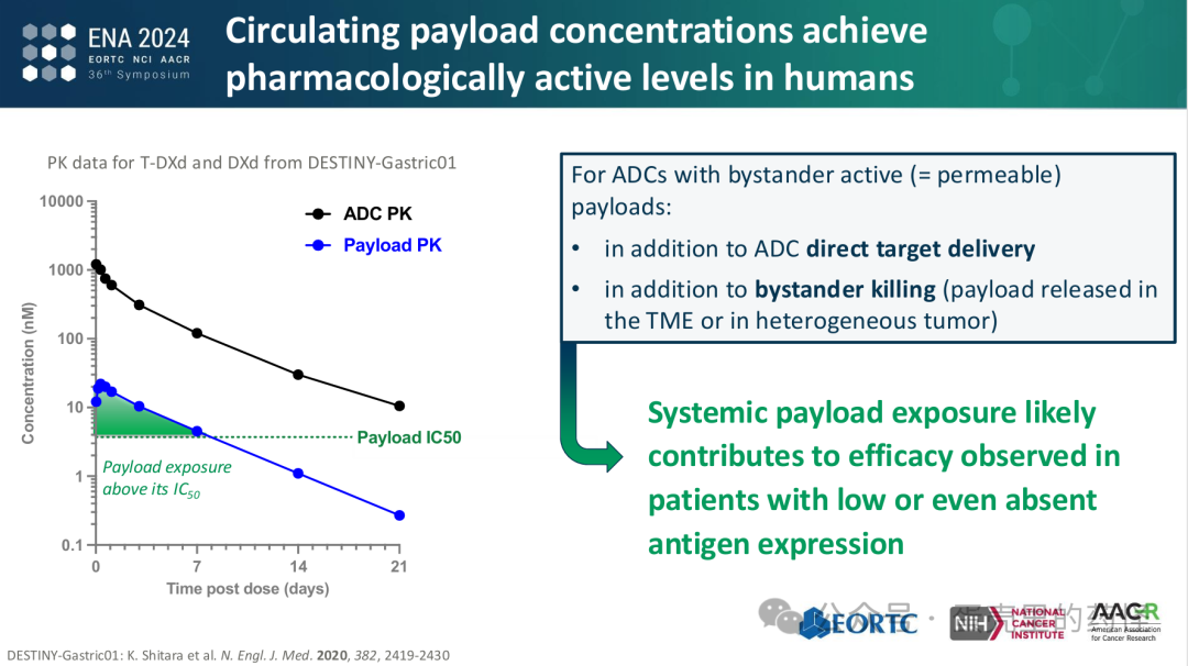 Beyond ADC Target Expression: Understanding ADC Characteristics and Pharmacology
