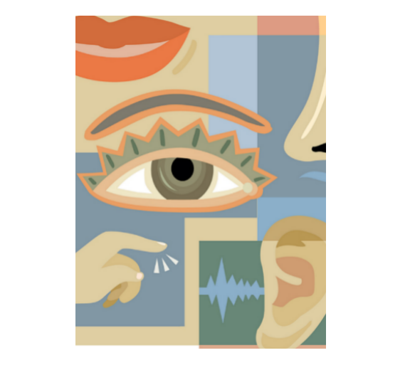 Sensory Physics 101 | Visual Perception or Vision
