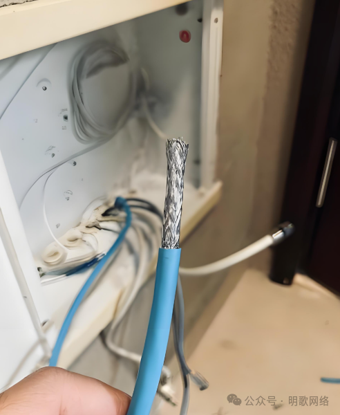 How to Choose Ethernet Cables for Smart Homes? A Comparison of 6 Types of Cables