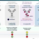 Beyond ADC Target Expression: Understanding ADC Characteristics and Pharmacology