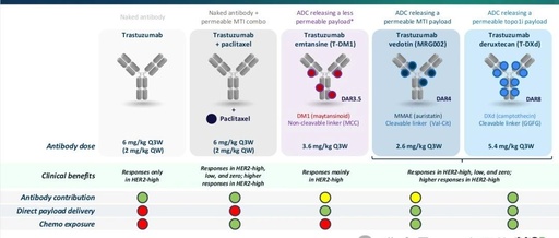 Beyond ADC Target Expression: Understanding ADC Characteristics and Pharmacology