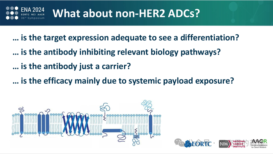 Beyond ADC Target Expression: Understanding ADC Characteristics and Pharmacology