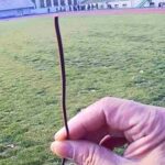 Outdoor Testing of Wireless Transmission and Reception Modules