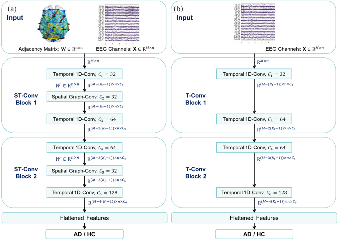 HBM: Spatial-Temporal Graph Convolutional Networks for Alzheimer's Diagnosis Using Brain Functional Connectivity