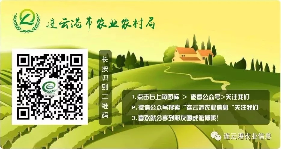 Implementation of New Drone Regulations in 2024: How to Operate Agricultural Drones Legally and Compliantly