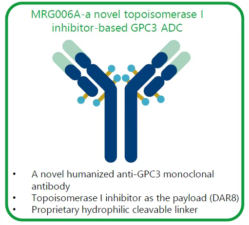Comprehensive Overview of Lepu Biopharma's ADC Drugs