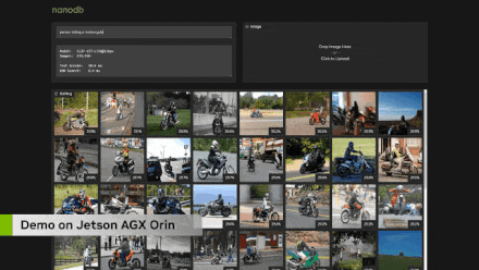 A Comprehensive Guide to Running Large Model Applications on NVIDIA Jetson
