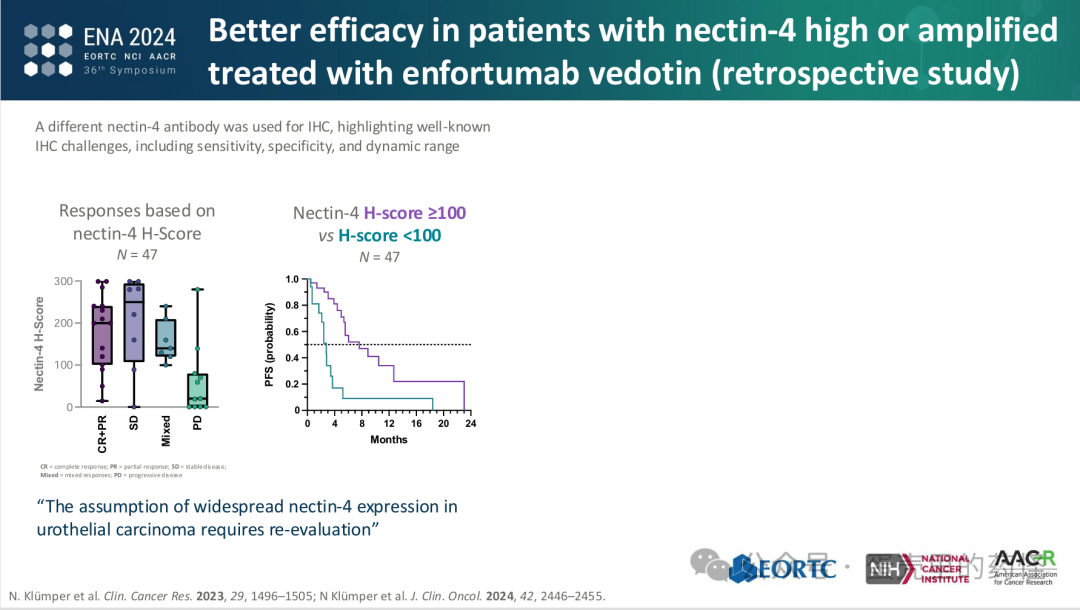 Beyond ADC Target Expression: Understanding ADC Characteristics and Pharmacology