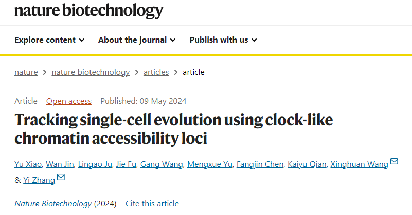 Breaking Tradition: Using EpiTrace with Epigenetic Clock Technology to Track Cellular Aging and Developmental Trajectories