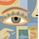Sensory Physics 101 | Visual Perception or Vision