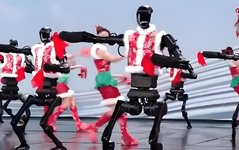 Spring Festival Gala Robot Performance
