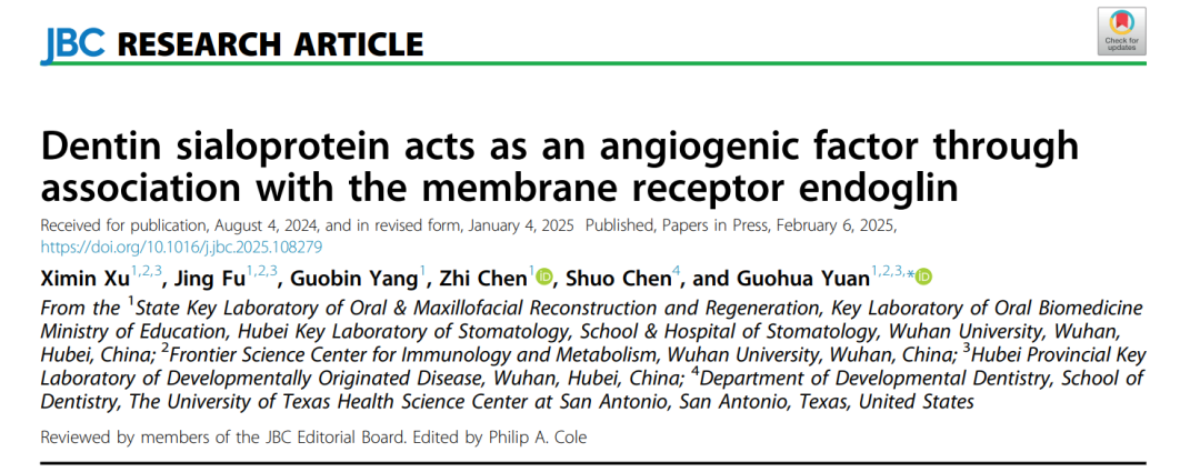 JBC | Dentin Sialophosphoprotein (DSP) Acts as an Angiogenic Factor through Endoglin