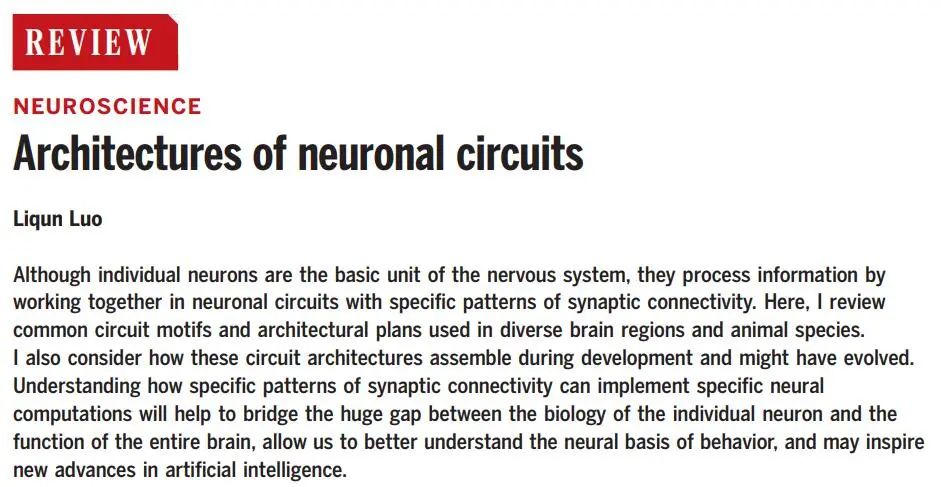 A Comprehensive Review of Neuronal Circuit Architectures