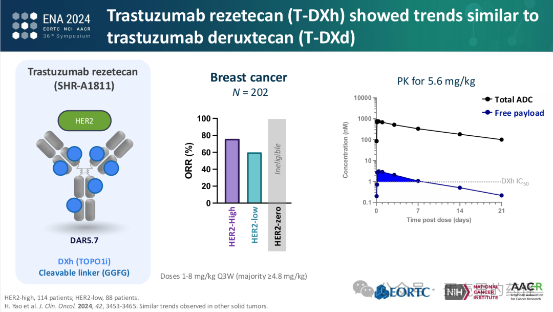 Beyond ADC Target Expression: Understanding ADC Characteristics and Pharmacology