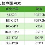 Chinese Companies Leading the Innovation Frontier of ADCs